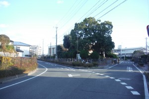 DSCF0936